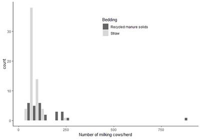 Impact of recycled manure solids bedding on hygiene and odds of hock lesions in dairy cows